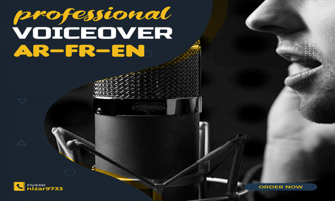 Gig Preview - Record a multi language voiceover for you