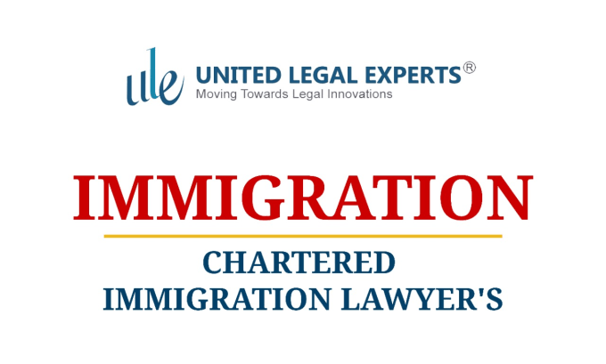 Gig Preview - Be your immigration lawyer