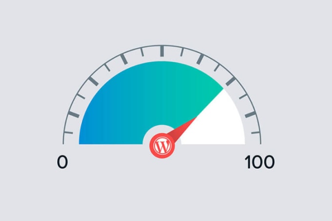 Gig Preview - Speed up your wordpress website homepage