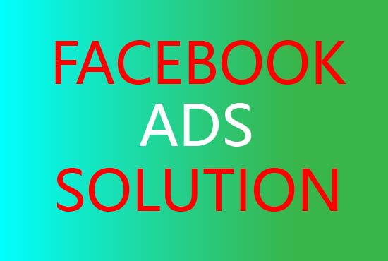 Gig Preview - Setup and manage your facebook ads campaign