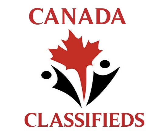 Gig Preview - Post your website or product on 10 canada classified sites