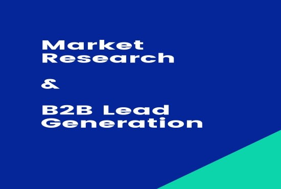 Gig Preview - Perform market research, data entry, and b2b lead generation