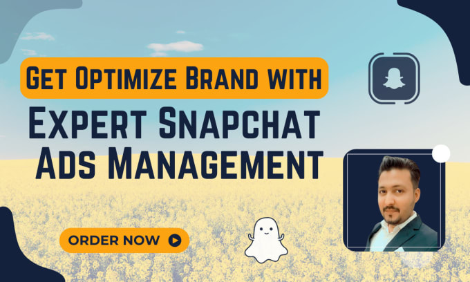 Gig Preview - Run and manage snapchat ads