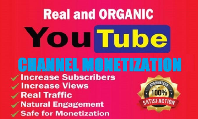 Gig Preview - Do fast youtube channel promotion via google ads to gain views and monetize