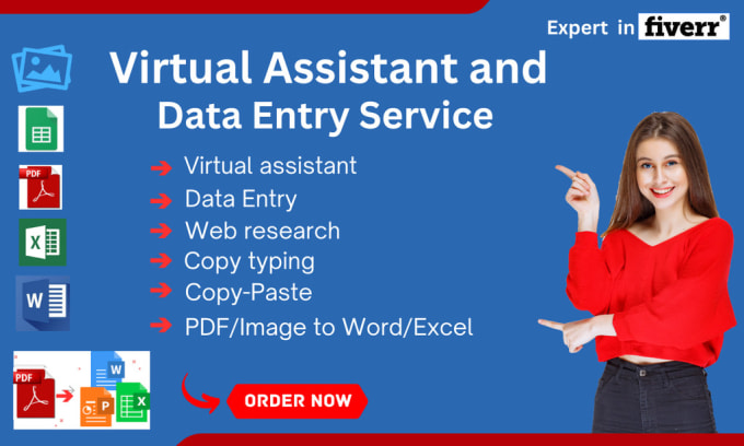 Gig Preview - Be your virtual assistant for data entry and web research