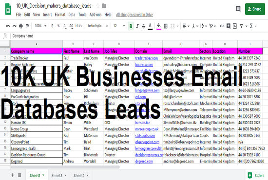 Gig Preview - Provide 9000 UK top decision makers email leads