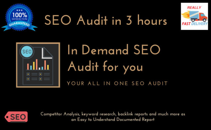 Gig Preview - Make seo audit report in an hour for you