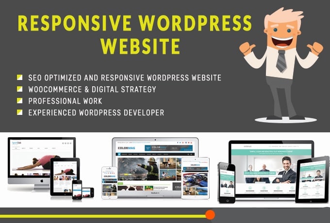 Gig Preview - Design a professional and responsive wordpress website