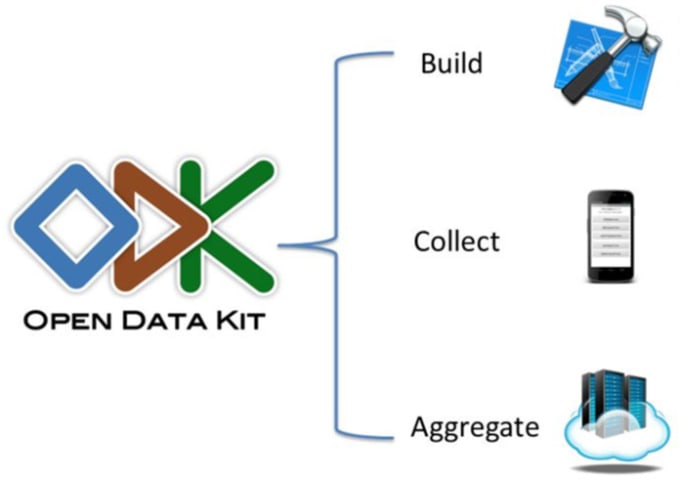 Gig Preview - Do open data kit odk questionnaires