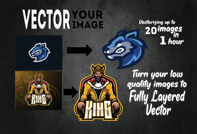 Gig Preview - Vectorize your low quality image