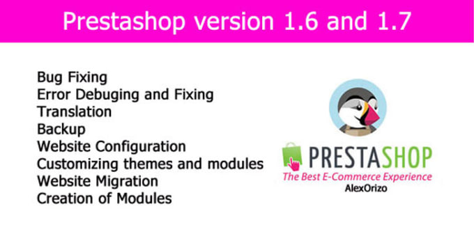 Gig Preview - Customize prestashop website module and theme