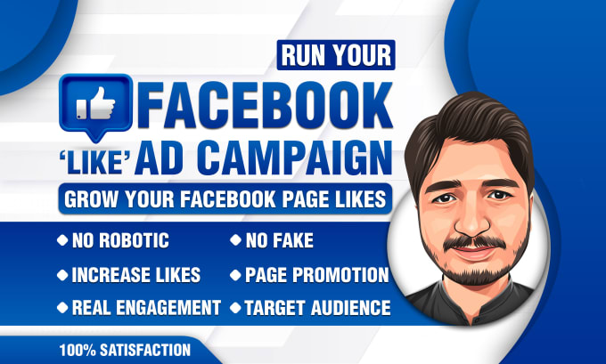 Gig Preview - Run a facebook ad campaign to grow page likes