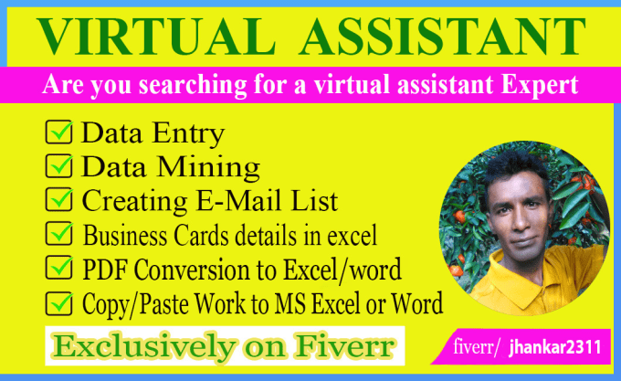 Gig Preview - Be your virtual assistant for data entry