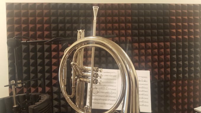 Gig Preview - Record a french horn section for your project