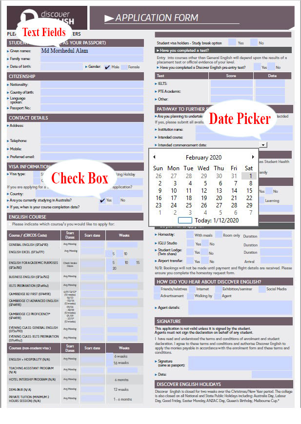 Gig Preview - Custom fillable pdf form creation and professional design