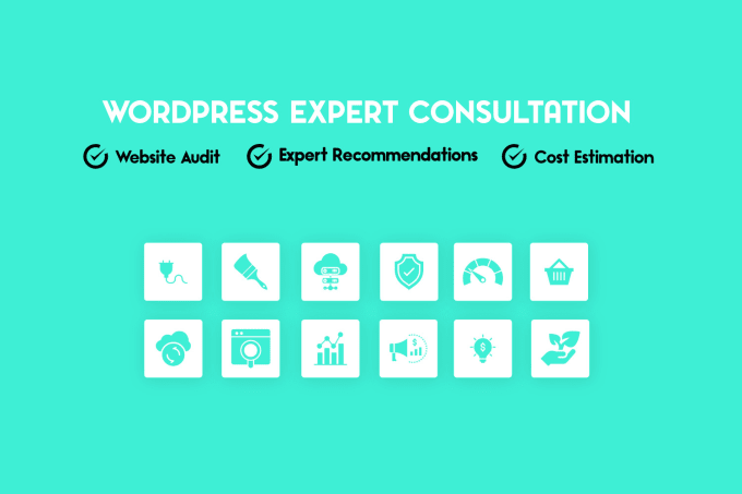 Gig Preview - Provide expert consultation for your wordpress website