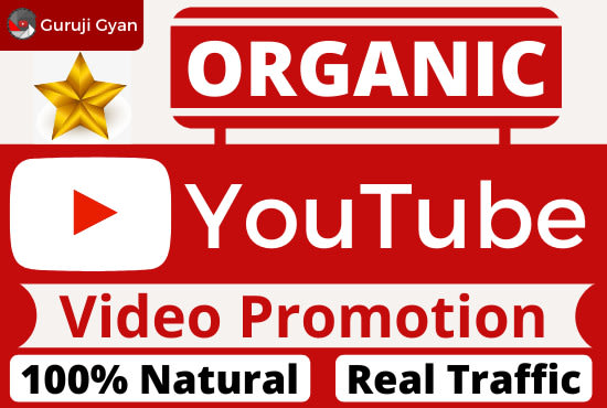 Gig Preview - Do organic viral youtube video promotion