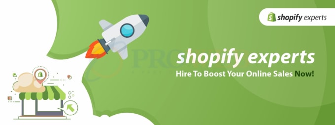 Gig Preview - Create profitable shopify dropshipping store or shopify website