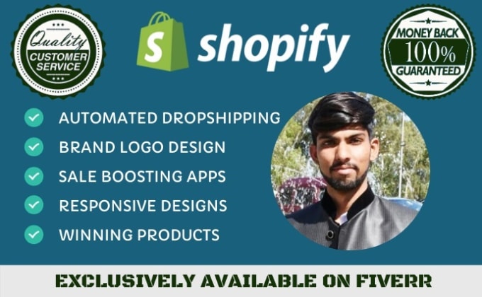 Bestseller - make 7 figure dropshipping shopify store or shopify website