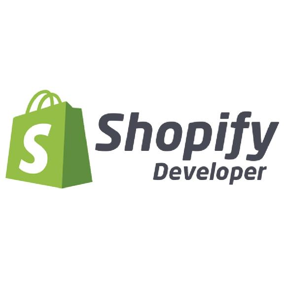 Gig Preview - Be your shopify expert