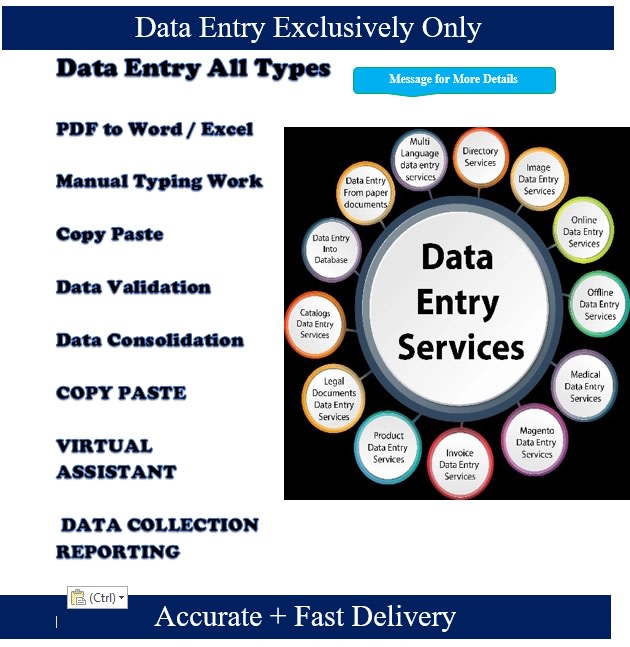 Gig Preview - Format, redesign, data collection and processing edit word, excel files