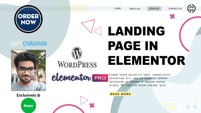 Gig Preview - Design landing page with elementor pro on wordpress