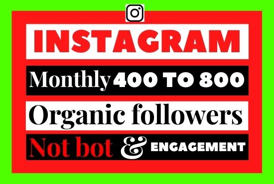 Gig Preview - Do instagram marketing or page promotion and 400 to 800 organic followers growth