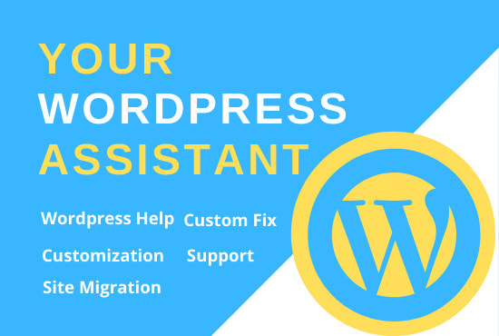 Gig Preview - Be your professional wordpress assistant or wordpress expert