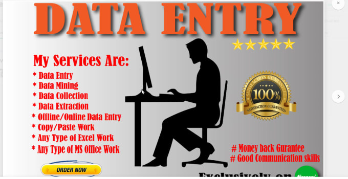 Gig Preview - Be your virtual assistant for data entry, data mining, copy paste, web research