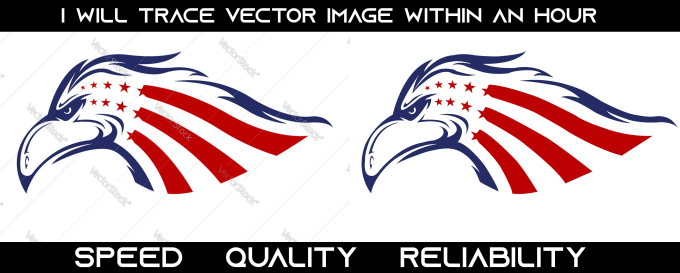 Gig Preview - Recreate, trace complex design vector file