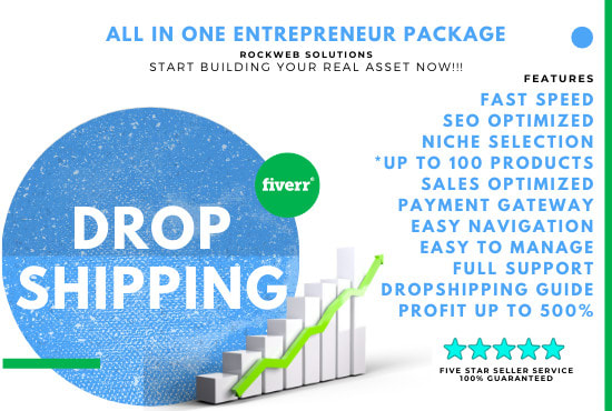 Gig Preview - Create ali express wordpress dropshipping store fast