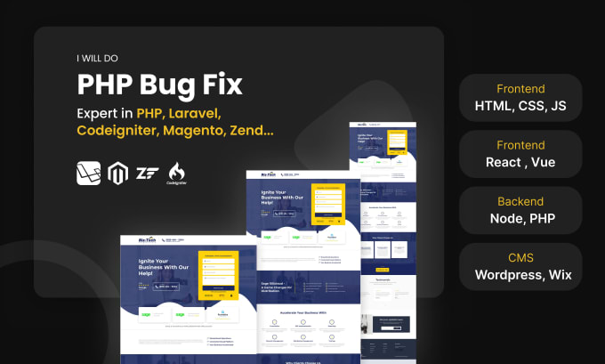 Gig Preview - Fix bugs in the PHP laravel vue HTML CSS wordpress