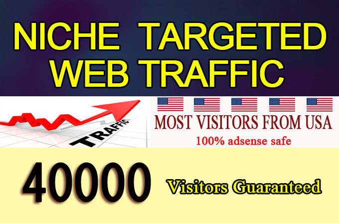 Gig Preview - Drive niche targeted web traffic most from USA