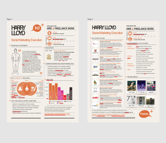 Gig Preview - Design a stunning version of your CV