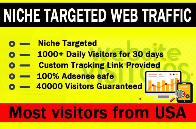 Gig Preview - Drive niche targeted web traffic mostly from USA