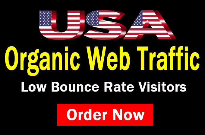 Gig Preview - Drive organic web traffic targeting USA with low bounce rate