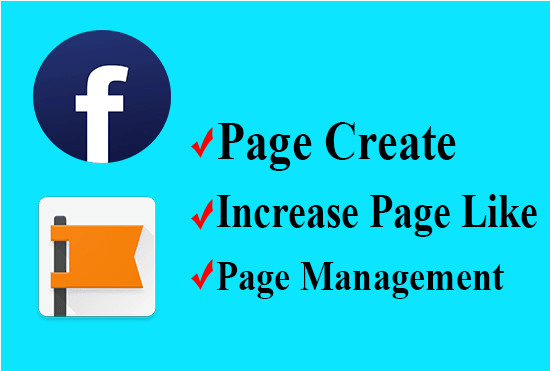 Gig Preview - Manage your facebook page to grow page followers