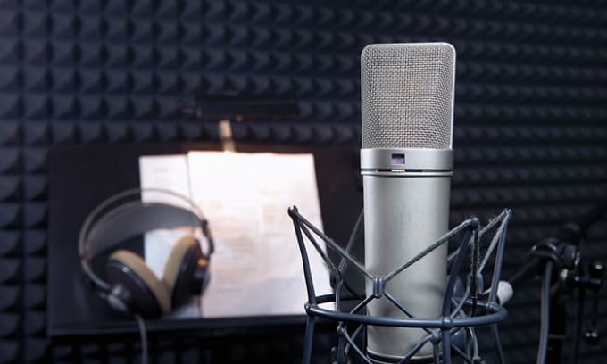 Gig Preview - Provide voice acting for your game, video, or audiobook