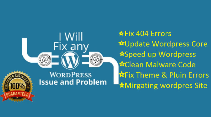 Gig Preview - Fix any wordpress issues or error fast