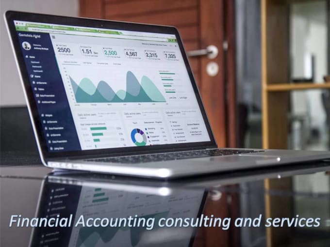 Gig Preview - Perform financial accounting services and consulting for you