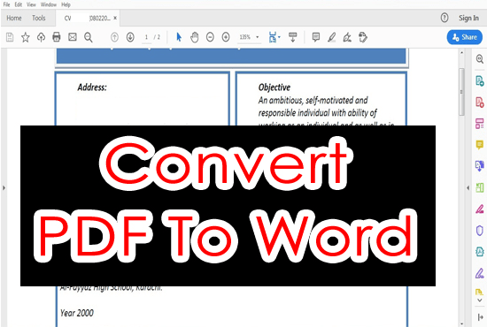 Gig Preview - Convert PDF and scan documents into microsoft word and excel