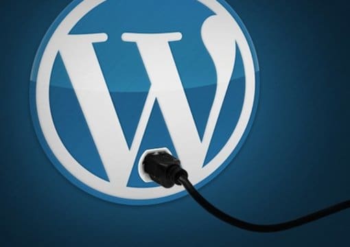 Gig Preview - Develop and customize your wordpress website