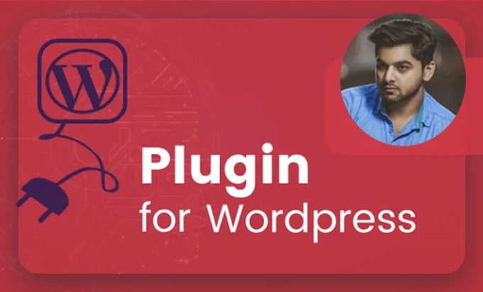 Gig Preview - Develop custom wordpress plugin or woocommerce plugin