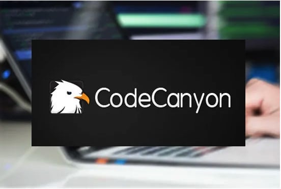 Gig Preview - Install any codecanyon script