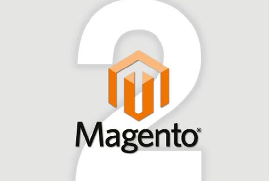 Gig Preview - Do magento 2 development and customization