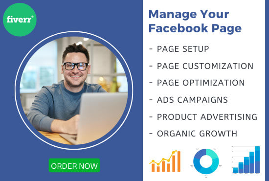 Gig Preview - Manage your facebook page, ads campaign, ads manager,