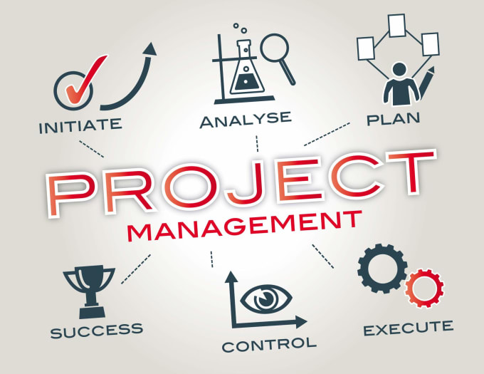 Gig Preview - Offer guidance in project management