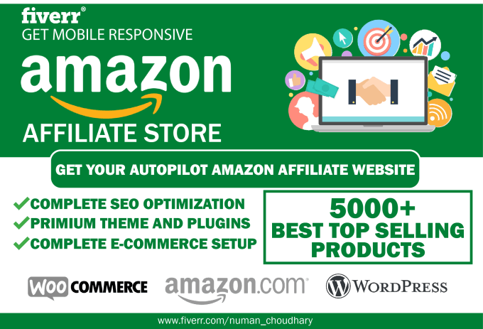 Gig Preview - Create autopilot amazon affiliate store with wordpress