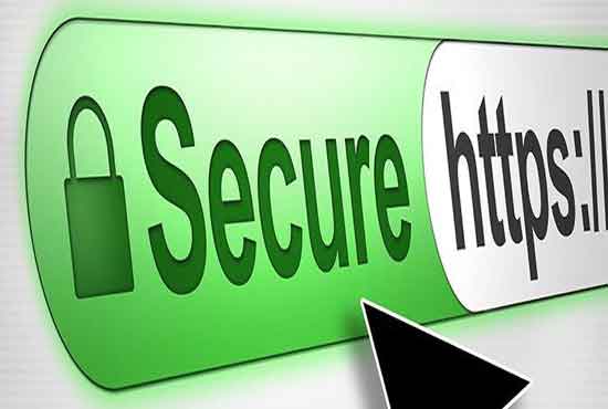 Gig Preview - Do your website secure