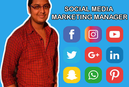 Gig Preview - Be your social media marketing manager and content creator